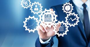 Data Management Service Icon